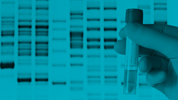 Cómo Descargar tu ADN de FamilyTreeDNA y Ancestry